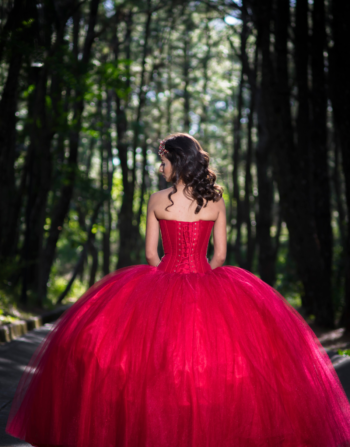 Modern Indo-Western Gown with Stylish Cut