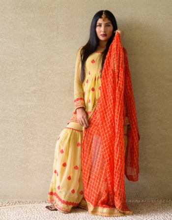 Elegant Party Wear Long Dress with Embroidery Work